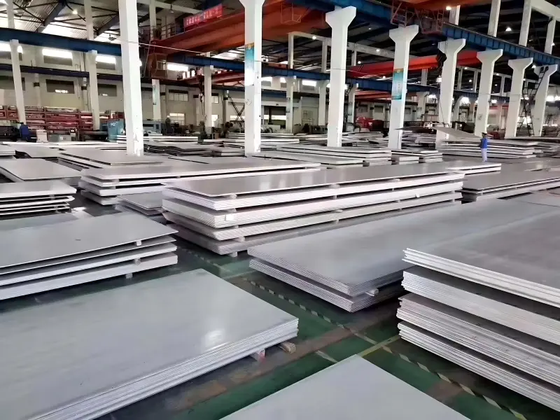 Stainless steel plate6