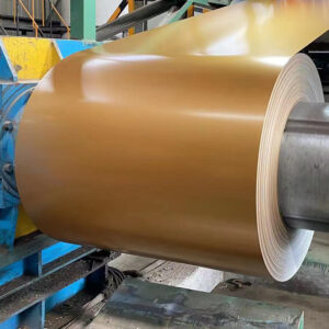 Prepainted Galvanized Ppgl Steel Coils